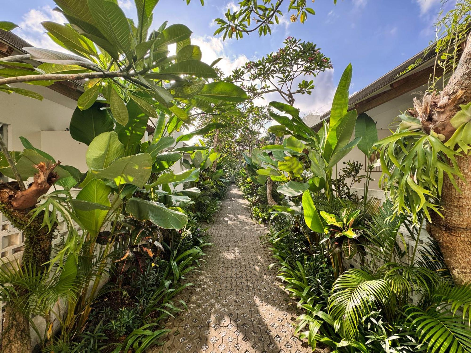 Lubdhaka Canggu Exterior foto